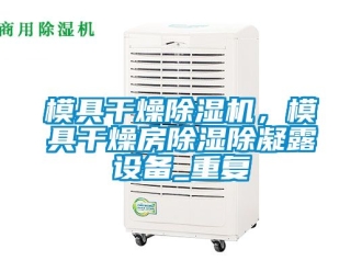 行业资讯模具干燥除湿机，模具干燥房除湿除凝露设备_重复