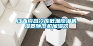 江西南昌冷库低温除湿机湿菱除湿机加湿器