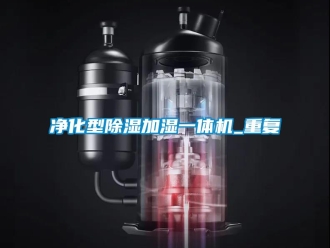 行业资讯净化型除湿加湿一体机_重复