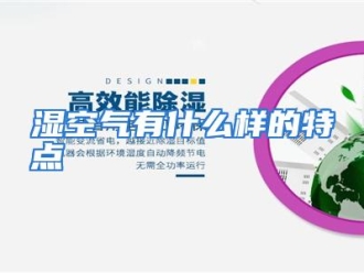 常见问题湿空气有什么样的特点