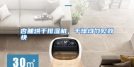杏脯烘干排湿机，干燥均匀见效快