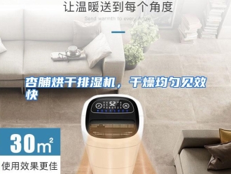 行业资讯杏脯烘干排湿机，干燥均匀见效快