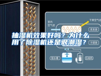 常见问题抽湿机效果好吗？为什么用了除湿机还是很潮湿？