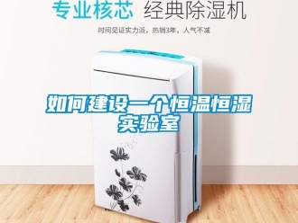 知识百科如何建设一个恒温恒湿实验室
