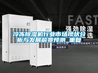 行业资讯冷冻除湿机行业市场现状分析与发展前景预测_重复