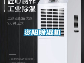 行业资讯资阳除湿机