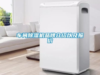 企业动态车间除湿机品牌介绍以及报价