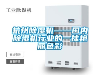 行业资讯杭州除湿机——国内除湿机行业的一抹艳丽色彩