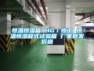 知识百科恒温恒湿箱 HG／恒工 恒温恒湿程式试验箱 厂家批发价格