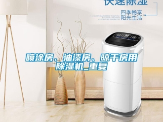 行业资讯喷涂房、油漆房、晾干房用除湿机_重复