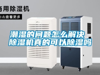 企业动态潮湿的问题怎么解决 除湿机真的可以除湿吗