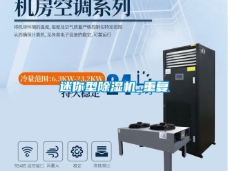 行业资讯迷你型除湿机_重复