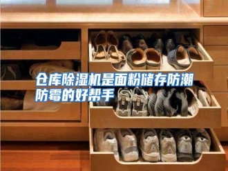 知识百科仓库除湿机是面粉储存防潮防霉的好帮手