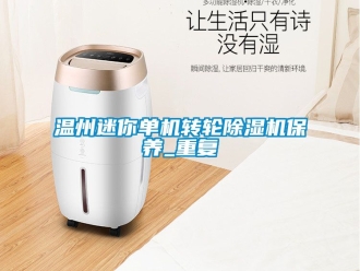常见问题温州迷你单机转轮除湿机保养_重复