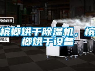 企业动态槟榔烘干除湿机，槟榔烘干设备