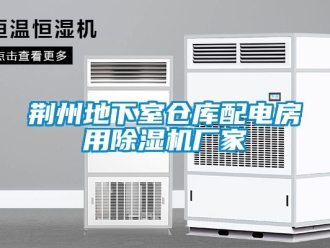 企业动态荆州地下室仓库配电房用除湿机厂家