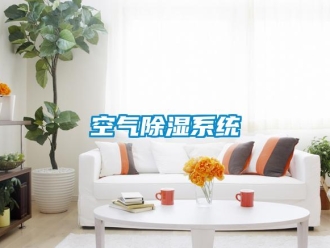 行业资讯空气除湿系统