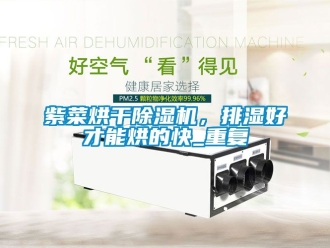 行业资讯紫菜烘干除湿机，排湿好才能烘的快_重复