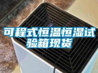 知识百科可程式恒温恒湿试验箱现货