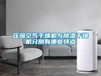 行业资讯压缩空气干燥机与除湿干燥机分别有哪些特点