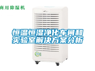 知识百科恒温恒湿净化车间和实验室解决方案分析