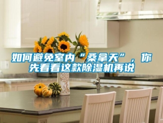 行业资讯如何避免室内“桑拿天”，你先看看这款除湿机再说