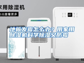 常见问题地板发霉怎么办？用家用除湿机科学除湿又防霉