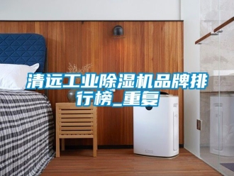 常见问题清远工业除湿机品牌排行榜_重复