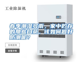 常见问题春季潮湿多雨，家中贮存的那些白茶，该如何做好防潮呢？
