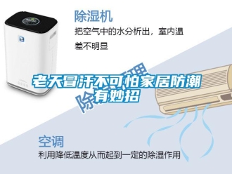 行业资讯老天冒汗不可怕家居防潮有妙招
