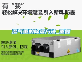 企业动态湿气重的除湿方法_重复