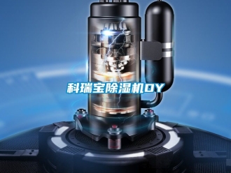 行业资讯科瑞宝除湿机DY