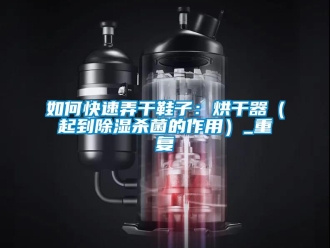 行业资讯如何快速弄干鞋子：烘干器（起到除湿杀菌的作用）_重复