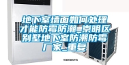 地下室墙面如何处理才能防霉防潮_崇明区别墅地下室防潮防霉厂家_重复