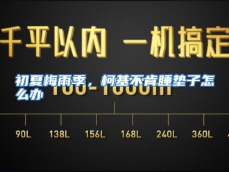 常见问题初夏梅雨季，柯基不肯睡垫子怎么办
