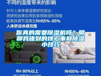 行业资讯你真的需要除湿机吗？聊聊我碰到的烦心事和除湿小技巧