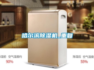 行业资讯哈尔滨除湿机_重复