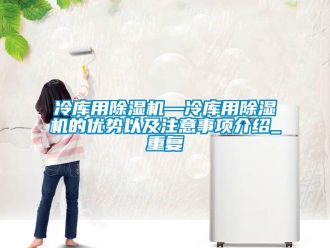 行业资讯冷库用除湿机—冷库用除湿机的优势以及注意事项介绍_重复