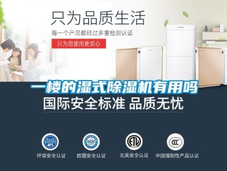 行业资讯一楼的湿式除湿机有用吗
