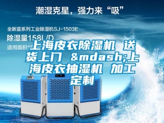行业资讯上海皮衣除湿机 送货上门 &mdash;上海皮衣抽湿机 加工定制