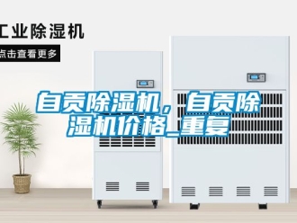 企业动态自贡除湿机，自贡除湿机价格_重复