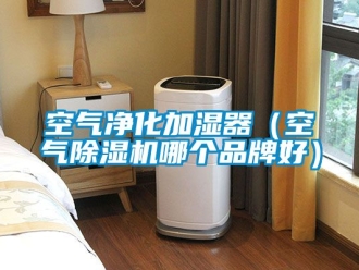 企业动态空气净化加湿器（空气除湿机哪个品牌好）