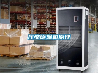 行业资讯压缩除湿机原理