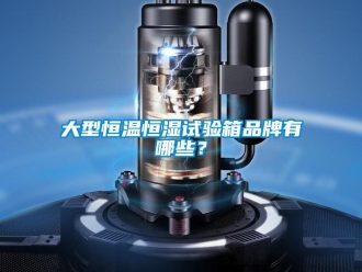知识百科大型恒温恒湿试验箱品牌有哪些？