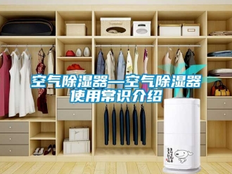 行业资讯空气除湿器—空气除湿器使用常识介绍