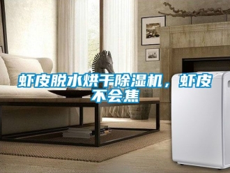 行业资讯虾皮脱水烘干除湿机，虾皮不会焦