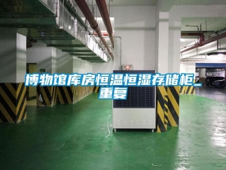 知识百科博物馆库房恒温恒湿存储柜_重复