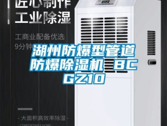 企业动态湖州防爆型管道防爆除湿机 BCGZ10