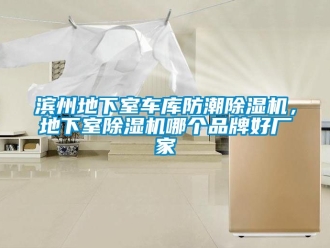 企业动态滨州地下室车库防潮除湿机，地下室除湿机哪个品牌好厂家