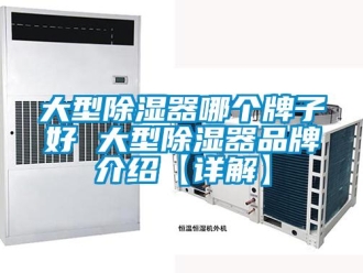 行业资讯大型除湿器哪个牌子好 大型除湿器品牌介绍【详解】